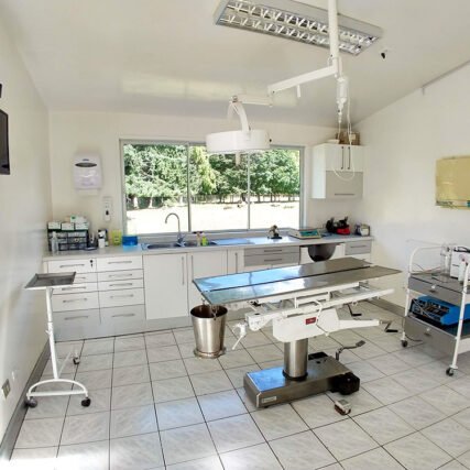 Veterinaria Metrenco, Temuco - Laboratorio Veterinaria Metrenco, veterinaria Temuco, Clínica Veterinaria, Hospital Clinico, Veterinaria Padre las Casas, Veterinaria Quepe, Veterinaria Pitrufquen, Veterinaria Freire, Veterinaria Araucania, veterinaria caballos temuco, veterinaria perros temuco, veterinaria gatos temuco, hotel perros temuco, hotel perros freire, hotel perros metrenco, hotel perros quepe, hotel perros Pitrufquen